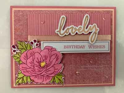 "Paper Pumpkin February 2020, Stampin' Up!, Candi Suriano"