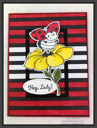 "Little Ladybug, Stampin' Up!, Candi Suriano"