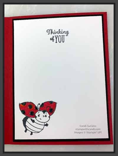 "Littly Ladybug, Stampin' Up!, Candi Suriano"