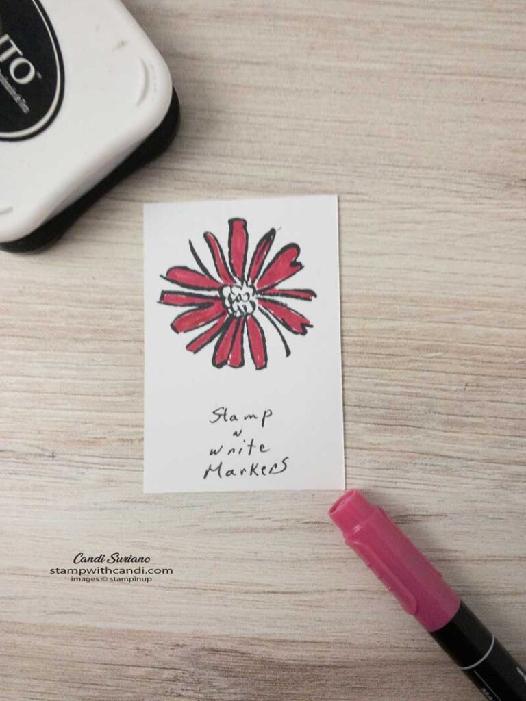 "Stampin Write Markers, Candi Suriano, Stampin' Up"