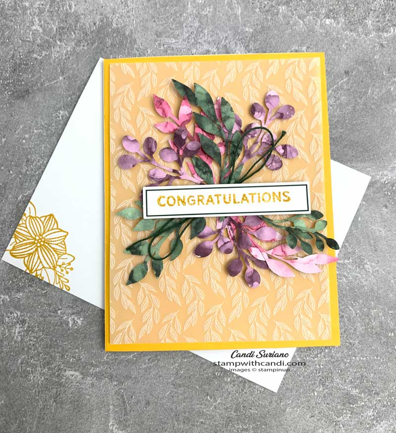 "June Paper Pumpkin Alternatives, Candi Suriano, Stampin' Up!"