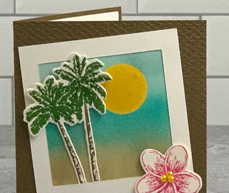 Timeless Tropical - Detail, Candi Suriano, Stampin' Up!"