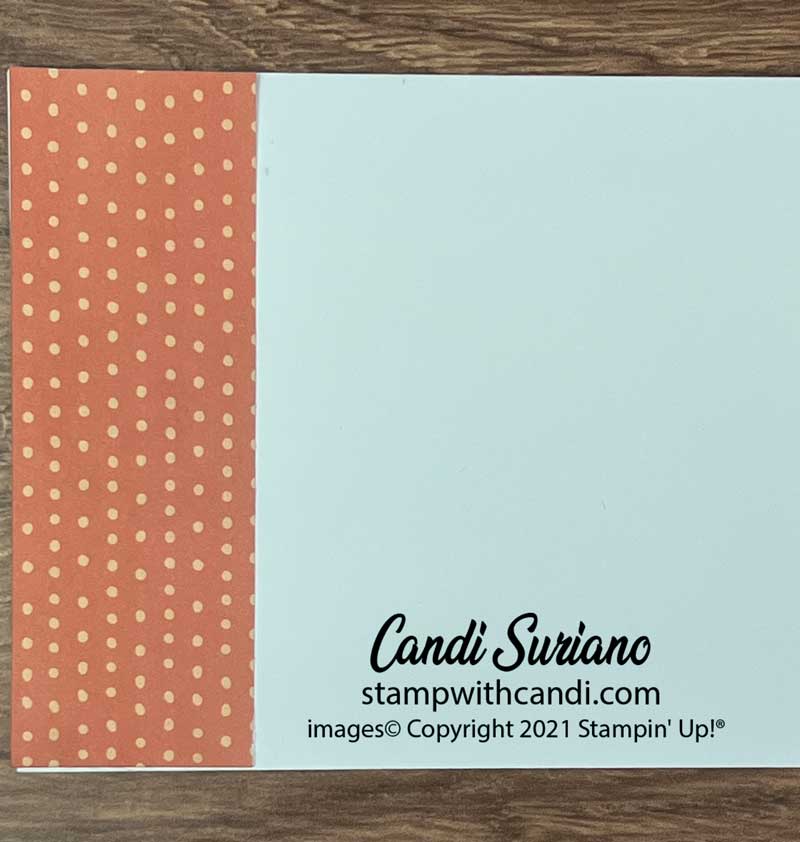 "DSP Techniques Card 2 Envelope, Candi Suriano, Stampin' Uo!"