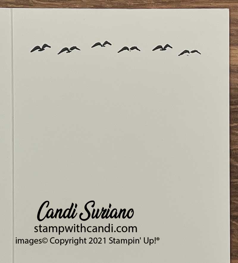 "DSP Techniques Card 1 Inside Candi Suriano, Stampin' Uo!"