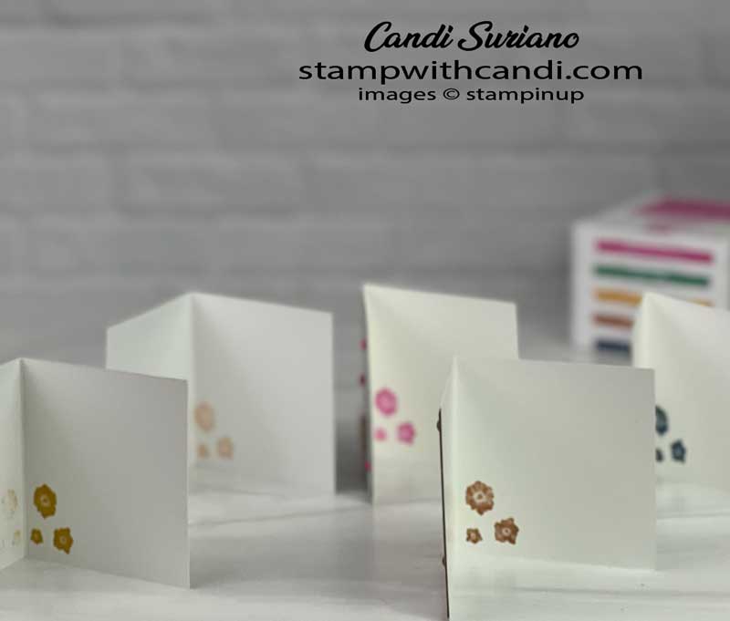 "Artistically Inked Mini Cards Inside, Candi Suriano, Stampin' Up!"