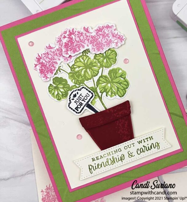 Potted Geraniums for Stamping with Friends > Stamp with Candi