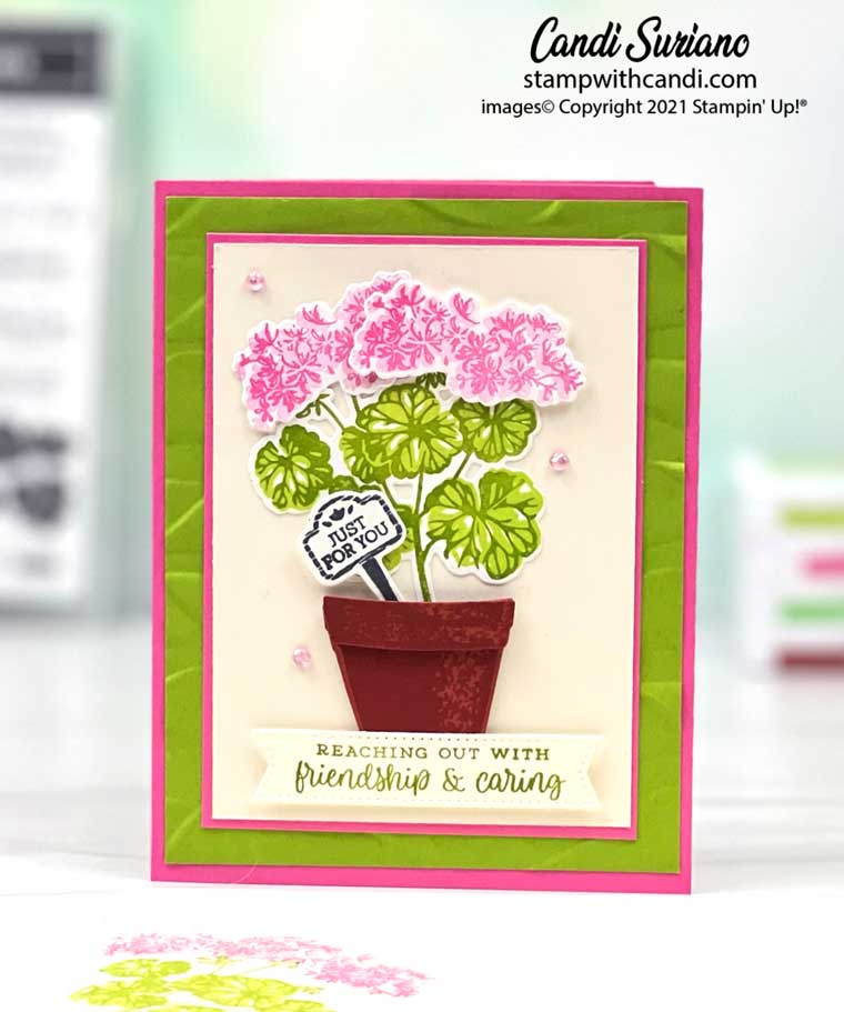 "Potted Geraniums, Candi Suriano, Stampin' Up!"